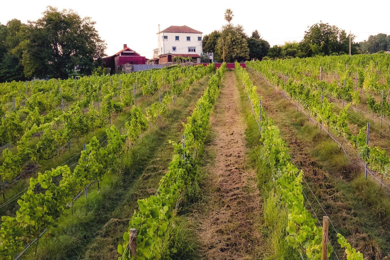 Quinta De Vila Nova - Agroturismo Monção Exterior foto